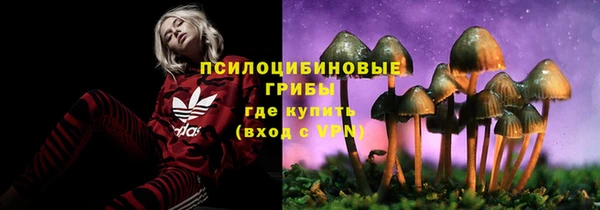PSILOCYBIN Осинники