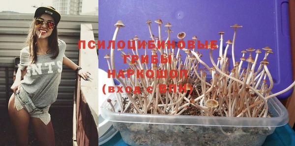 PSILOCYBIN Осинники