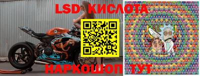 эйфоретик Донской