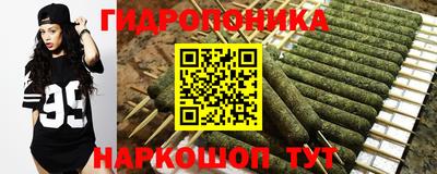 эйфоретик Донской
