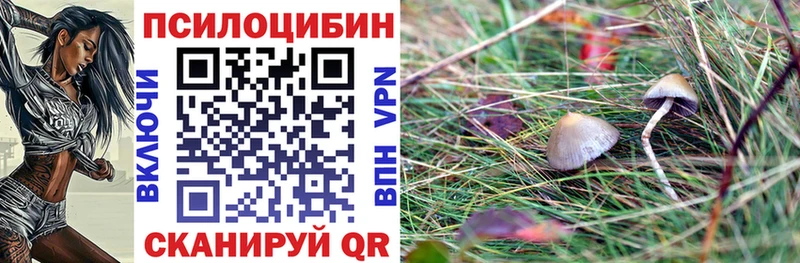 blacksprut онион  Ялта  Галлюциногенные грибы прущие грибы 