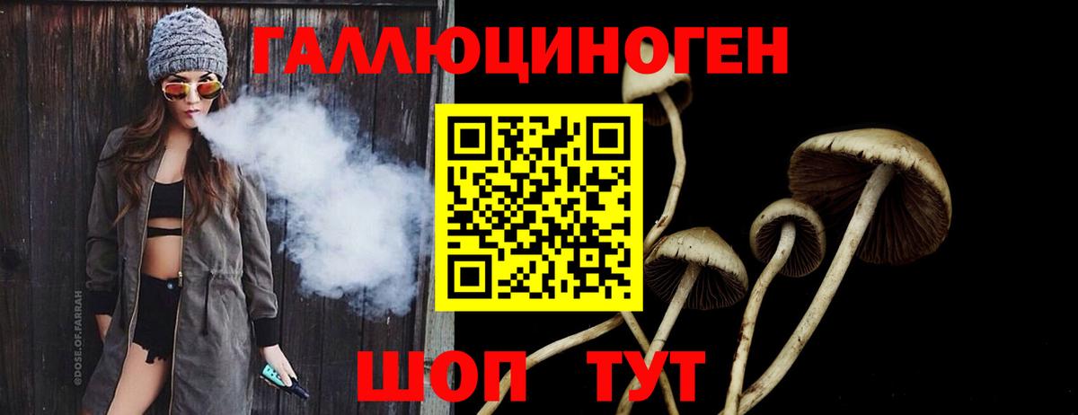 Псилоцибиновые грибы GOLDEN TEACHER  Псилоцибиновые грибы Magic Shrooms  Ялта  Вход с VPN 
