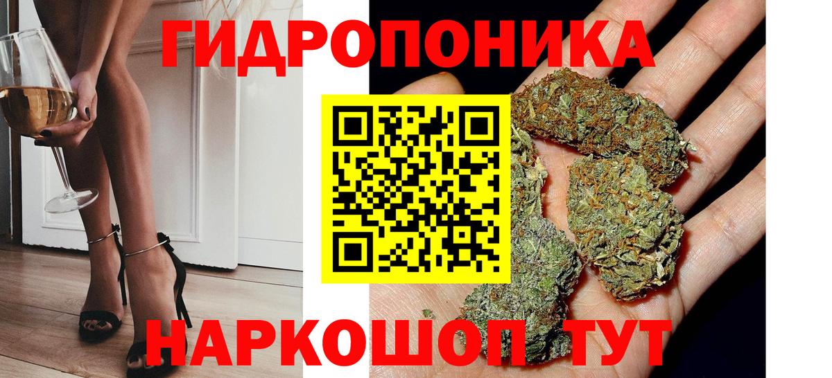 Ялта  Канабис семена  Каннабис сатива  Конопля OG Kush  Вход с VPN 